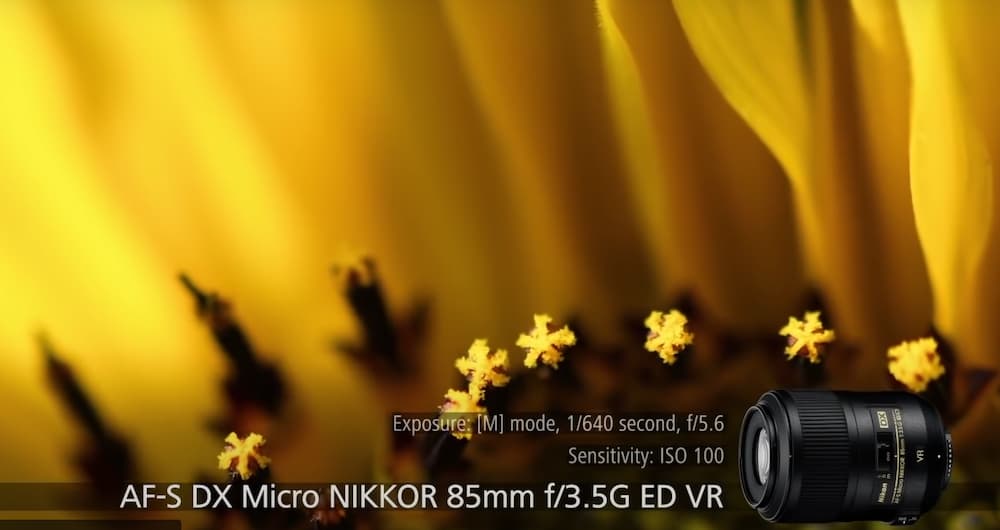 AF-S DX Micro NIKKOR 85mm F3.5G ED VR