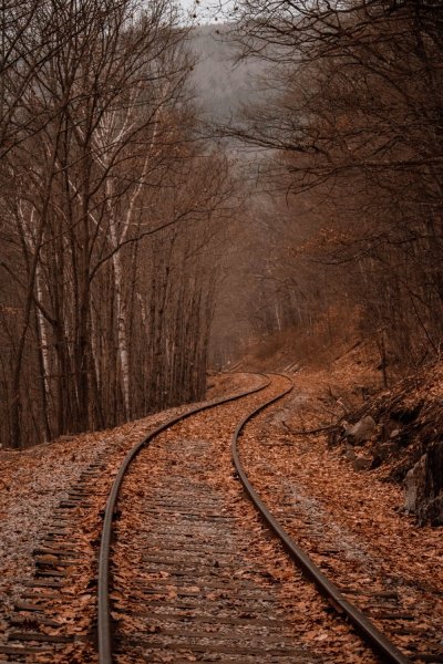 глубокая глубина резкости железнодорожные пути в лесу