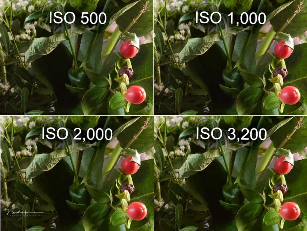 Качество изображения  Xperia 1 III ISO 500-3200